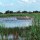 Let's celebrate Iowa's wetlands on World Wetlands Day